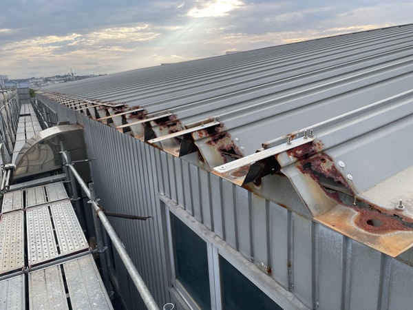 medium_20250214081359627